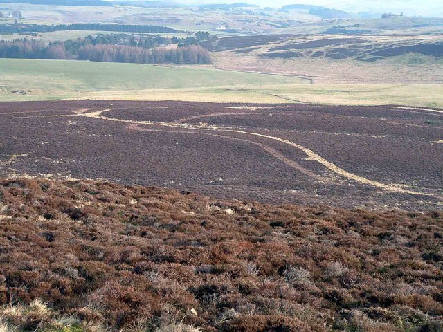 View NE from Dochrie Hill