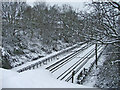 Piccadilly Line from Bridge in Merrivale, N14