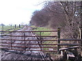 Footpath to Wadhurst