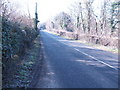 A265 west towards Burwash