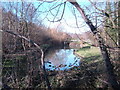 Pond by Canal Bridge