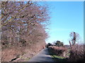 Borders Lane, near Underwood