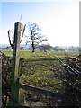 Footpath from Burwardsley Road, Tattenhall to Dark Lane