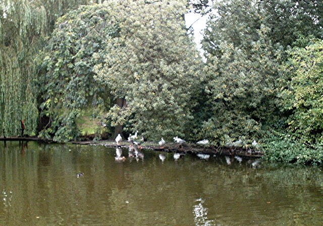 The duck pond, Southchurch Hall