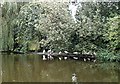 The duck pond, Southchurch Hall