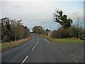 Road leading to Felton