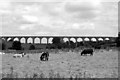 Craigmore Viaduct