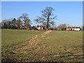 Footpath from Dark Lane to Burwardsley Road