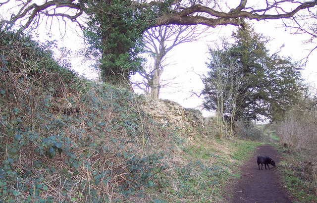 Path by Roman wall at Calleva