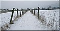 Footpath to Castlemorton Common