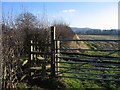 Footpath from Burwardsley Road to Dark Lane #5