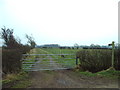 Footpath to Sceugh Dyke