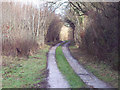 Track between Nunton Copse and Odstock Copse