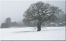 SO7740 : Little Malvern in the February Snow by Bob Embleton