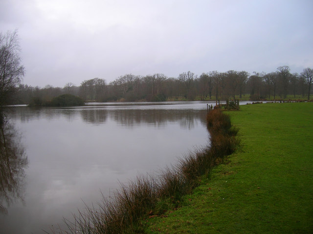 Decoy Pond © Simon Carey :: Geograph Britain and Ireland