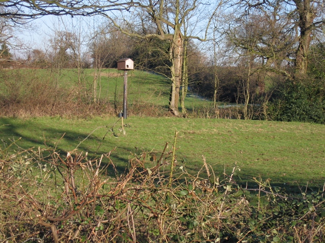 Field and Bird Box