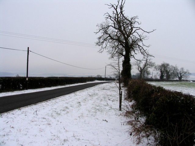 Road near to Stoke Dry