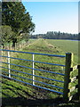 Disused branch line near Gillnockie Station