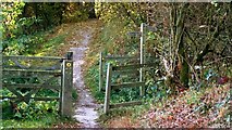 SK4764 : An Autumnal Stroll by Alan Walker