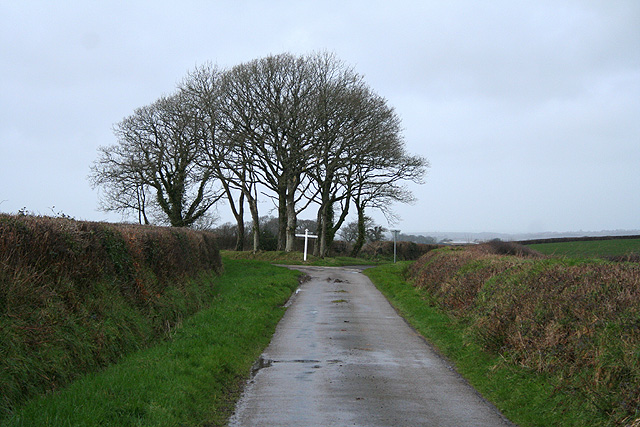 Sampford Courtenay: near Bondleigh Moor © Martin Bodman :: Geograph ...