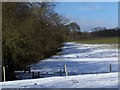 Footpath To Nunswell