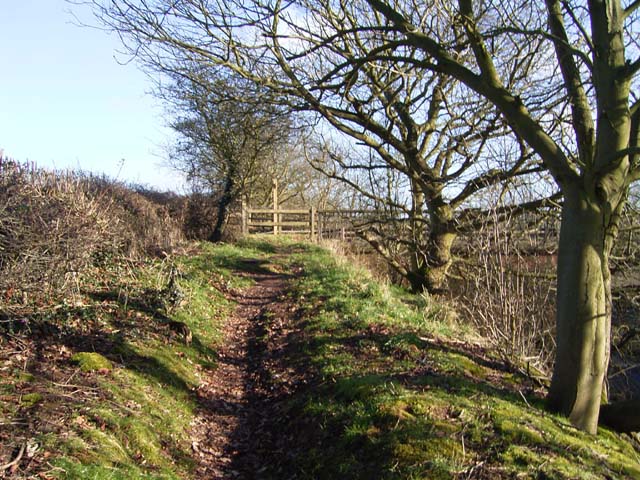 Path running parallel to A45 up to Fillongley Road
