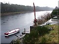 River Tay near Caputh