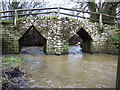 Packhorse bridge,  River Divelish