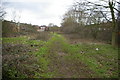 Footpath along the Bourn Brook, near California