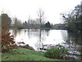 Fishing pond beside Horsegrove Farm