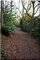 Bridleway below south western slope of Rednal Hill