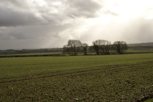 Farmland in the Winterborne Valley