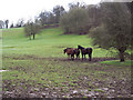 Backs to the wind at Lake Bottom