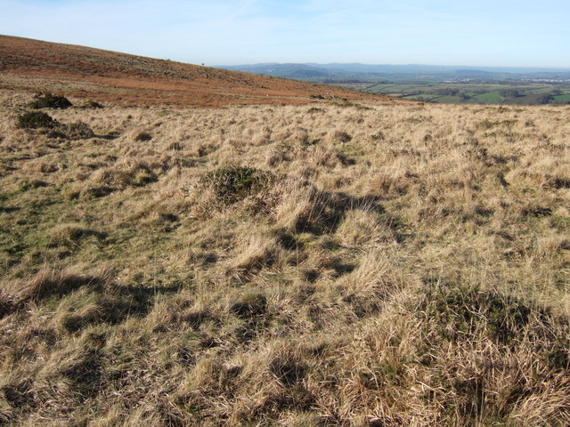 Moorland southeast of Routrundle