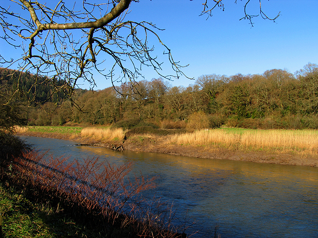 River Wye at Tintern Abbey