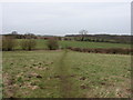 Footpath across pasture fields