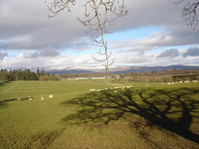View north across fields ,Crofthead near Muthill