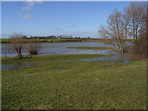 SP7332 : Padbury Brook in flood by Andrew Smith