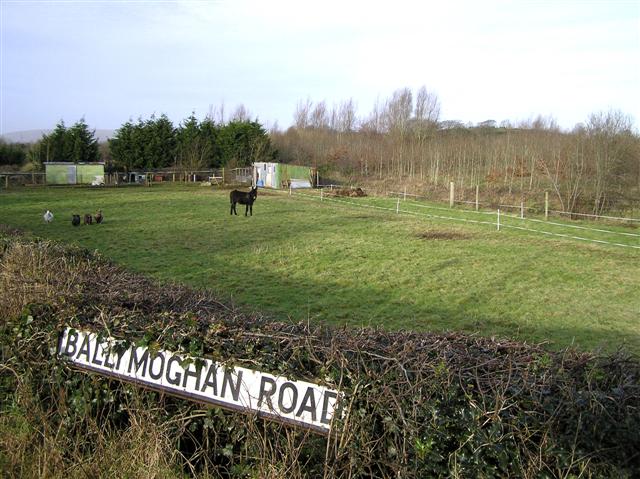 Ballymoghan Road