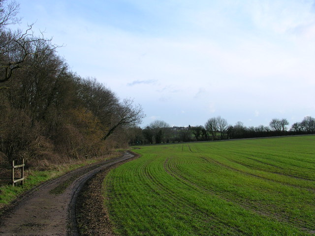 Footpath past Ricketts Farm