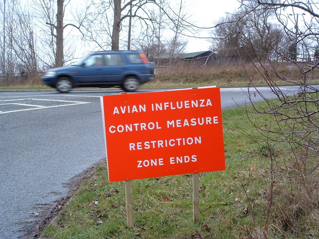 Avian Influenza (Bird Flu) Sign