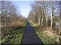 A footpath in Melrose