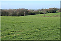 North Tawton: by Ashridge Moor Cross