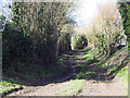 Bridleway to Chilmark from Upper Chicksgrove