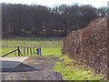 Footpath to Quarry Farm from Sutton Row