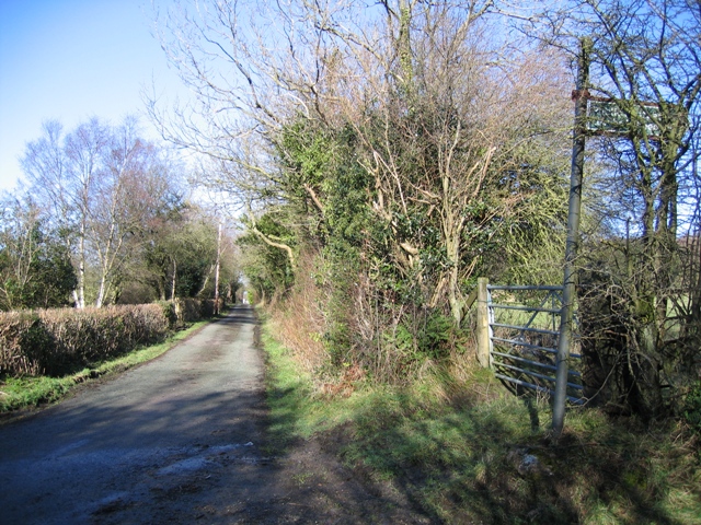 Lane to Werngate Farm