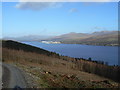 Kilcreggan- Barremman, Gare Loch Forestry Track