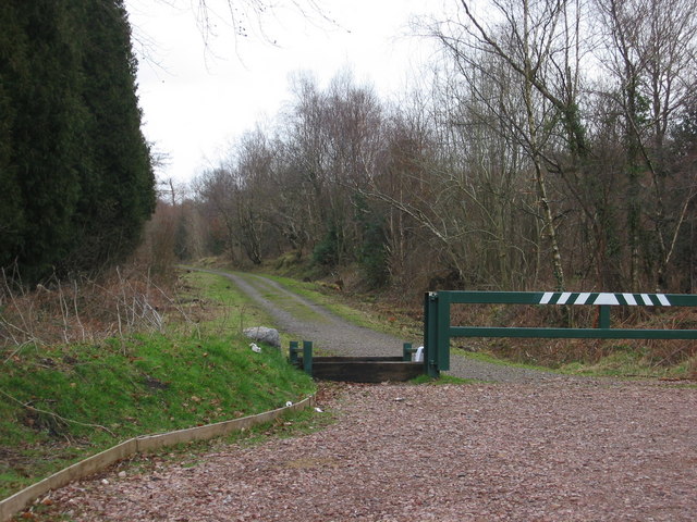 Entrance to the forestry