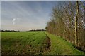 Field margin near Wetherden