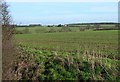 Looking across the Harcamlow Way to Butlers Farm.